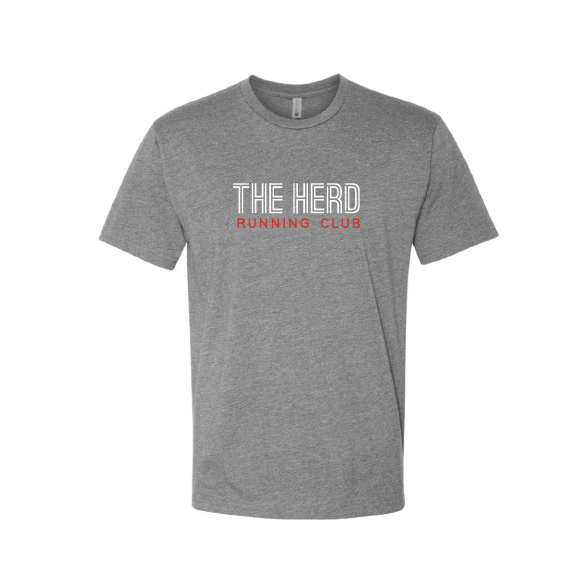 Adult T-Shirt - Gray